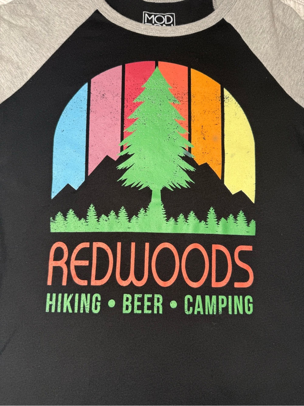 Modern Lux Black Raglan Tee with Gray Sleeves and Multicolor Retro Tree Graphic